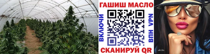 Купить где  Юрьевец  ТГК гашишное масло 