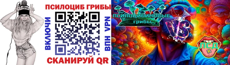 Купить  Юрьевец  Псилоцибиновые грибы Psilocybe 